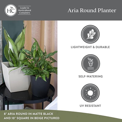 The HC Companies Aria Round Self-Watering Pot - Lightweight Plastic Planter for Herbs & More - Durable Plant Pots for Indoor Plants & Outdoor Plants (6" Glossy Avocado, Pack of 1)
