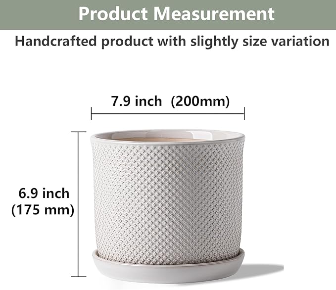 8 Inch Plant Pot: Ceramic Planter with Drainage Hole & Saucer Indoor Outdoor Plants - Flowerpot with Bonded Tray for Home Office - Beaded Embossed Style, Cream White