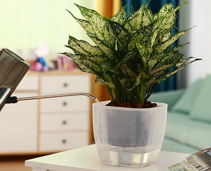12-Pack Clear Self Watering Planters for Indoor Plants 7" Large African Violet Plant Pots Plastic Wick Flower Pots with Water Injection Hole, Orchid Plant Pot Set, Clear