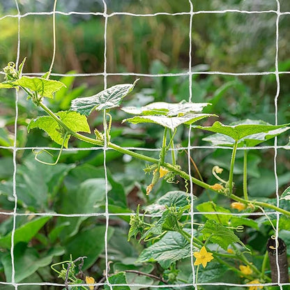 Tcamp Heavy-Duty Polyester Plant Trellis Netting 5 x 30ft (1 Pack) (5 Ft X 30 Ft)