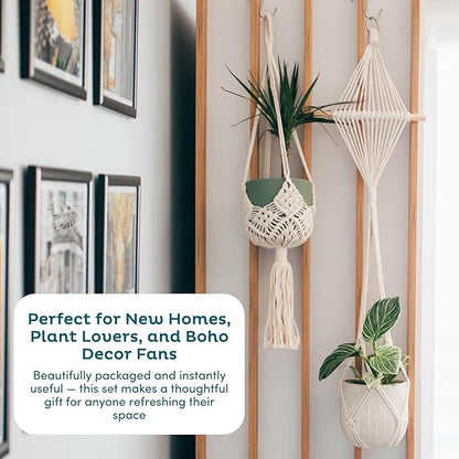 Nook Theory 4-Pack Macrame Plant Hangers with 8 Hooks - Hanging Planters for Indoor Plants, Boho Macrame Hangers Indoor Outdoor, Decorative Plant Hanger Indoor (Cream)
