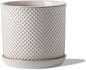 5.8 Inch Plant Pot: Ceramic Planter with Drainage Hole & Saucer for Indoor Outdoor Plants - Flowerpot with Bonded Tray for Home Office - Beaded Embossed Style, Cream White