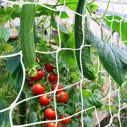 Trellis Netting, CANAGROW Heavy-Duty Garden Plant Trellis Netting for Climbing Plants, Outdoor Indoor Grow Net for Beans Tomatoes Peas Pumpkin Flowers, 6x15ft, 1 Pack