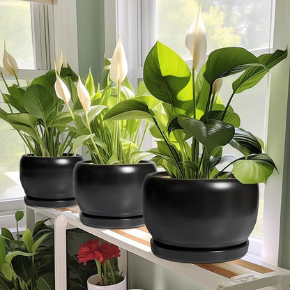 SQOWL Ceramic Flower Pot - 10 Inch Planter with Drainage Hole and Saucer, Modern Large Plant Pot Indoor Outdoor, Decorative Round Planter, Bedroom Decor, Gifts for Plant Lovers, Black