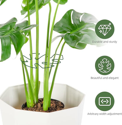 10PCS Iron Monstera Plant Support, Uniquely Designed Indoor Plant Accessories, Stable Plant Support Stakes for Indoor Plant, Turtle Shell Bamboo Clamp Set for Thriving Growth
