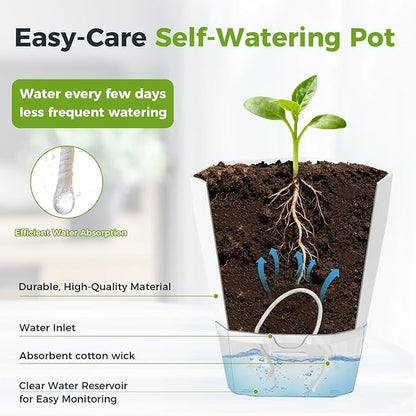 6 Pack Self Watering Plant Pots 5 Inches Self Watering Planters for Indoor and Outdoor Plants African Violet Self Watering Pots Clear Pots for Plants Herb Orchid Flower Houseplant Pots, Light Grey