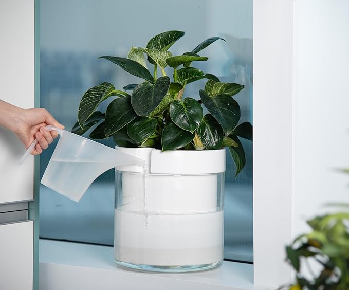 Phoenix Vine 10 Inch Self Watering Planter, White Terracotta Clay Pot with Glass Reservoir for Indoor Plants, Herbs, Flowers, Set of 1, 52-B-I-1