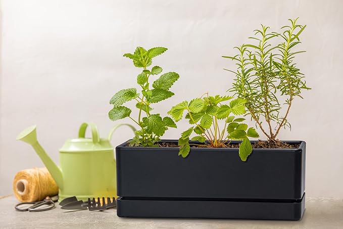 D'vine Dev 12 Inch Window Box Planter, Rectangle Plastic Herb Planter with Drainage Holes and Saucer, Indoor Succulent Cactus Vegetable Pot for Windowsill, Garden Balcony, Black, Set of 2, 76-X-B-2