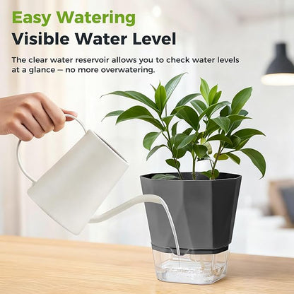 12 Pack Self Watering Pots for Indoor Plants, 5 Inches Self Watering Planters African Violet Self Watering Clear Pots for Plants Herb Orchid Flower Houseplant, Dark Grey