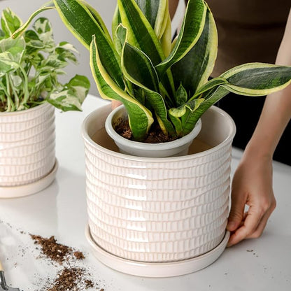 8 Inch Plant Pot: Ceramic Planter with Drainage Hole & Saucer for Indoor Outdoor Plants - Flowerpot with Bonded Tray for Home Office - Wave Embossed