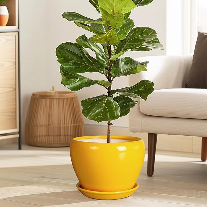 8 Inch Plant Pot - Glaze Modern Round Ceramic Planter for Indoor Outdoor Plants with Drainage Hole and Saucer for Home Patio Room Office Decor, Yellow