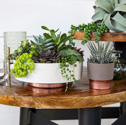 The HC Companies 6 Inch Round Plastic Succulent Capri Bowl 6"x6"x2.25" in Artisan Taupe with Copper Bottom Color