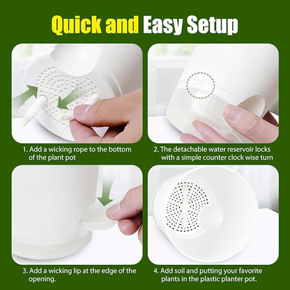 Plant Pots 6 Inch Self Watering Pots,6 Pack Plastic Planters with Drainage Holes and Clear Saucers,Plastic Flower Pots,Nursery Planting Pot for Indoor Out Door Plants (White)