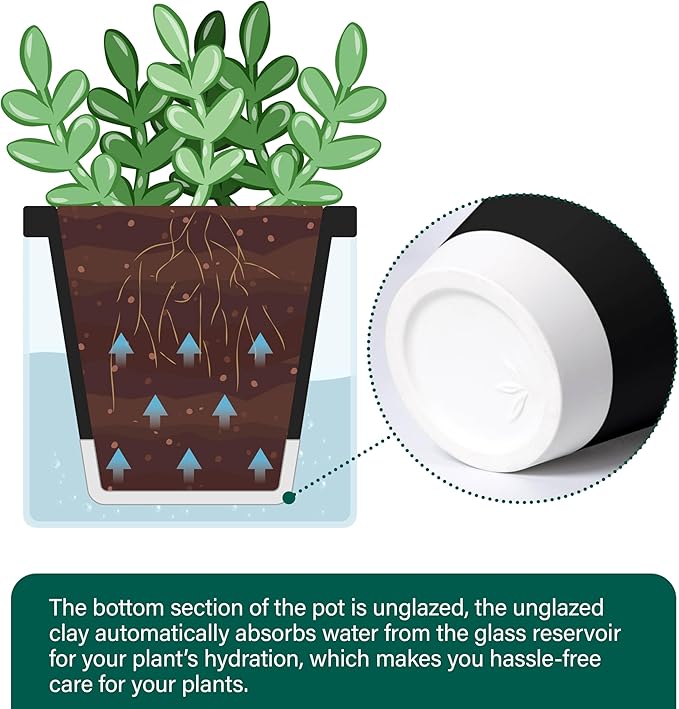 D'vine Dev 4 Inch Design Self Watering Planter for Indoor Plants, Black Terracotta Pot with Cylinder Glass Cup, Set of 4, 37-Z-A-3-F