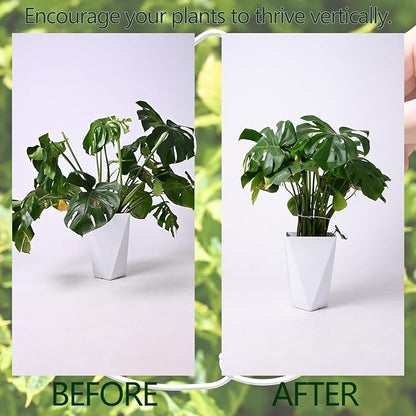 White Monstera Plant Stem Support - 5PCS 7.3x6.25in Durable Adjustable Garden Stake for Indoor Plants, Fishbone Cactus Holder, Innovative Leaf Clip Set, Ideal Tool for Healthy Plant Growth