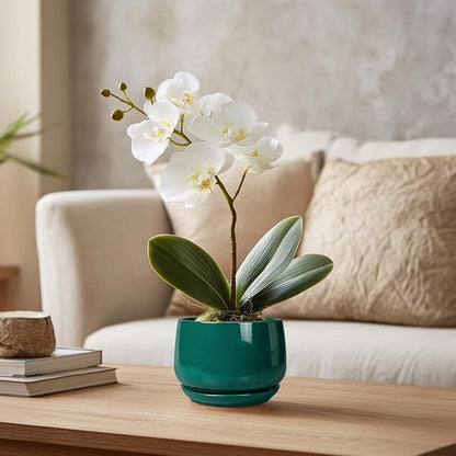 G EPGardening 4 inch Plant Pots - Small Ceramic Planter with Drainage Hole & Tray, Succulent Pots Indoor Outdoor, Round Modern Planter, Decorative Flower Pot, Desk Decor, Gifts for Plant Lover, Green