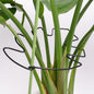 5PCS Black Monstera Plant Stem Support 9x7.6in - Adjustable & Durable Indoor Plant Stake for Cactus and Climbing Plants - Ideal Leaf Support for Gardening & Home Decor
