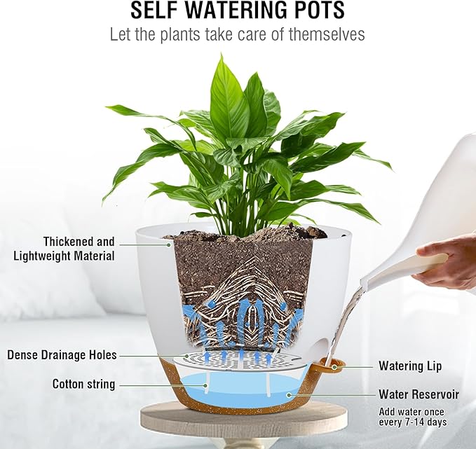 10 inch Self Watering Hanging Planters, 2 Pack Hanging Baskets for Indoor Outdoor Plants, Hanging Flower Pots with Drainage Holes & 2 Kinds of Plant Hangers for Garden Home Décor, White Brown
