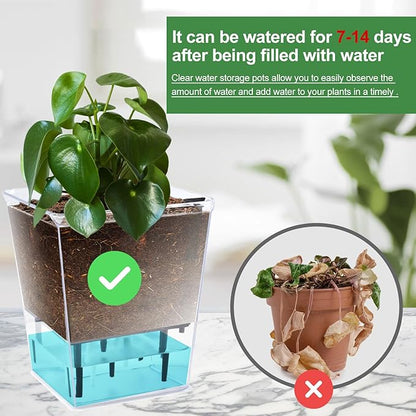 Self Watering Pots Set, 3 Pack 5 Inch for Indoor Plants, Clear Nursery Planter With Deep Reservoir for Spider Plant, Orchid, African Violet
