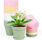 6 inch Plastic Nursery Pots, 16 Pack Plant Pots for Indoor Outdoor Plants, Flower Pots with Drainage Holes and Saucers, Decorative Seedling Starter Planters for House Plants, Colorful