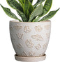 Ceramic Planter Pot - 6.8 Inch Plant Pot with Drainage Hole and Saucer, Succulent Round Flower Pot for Plants Indoor Outdoor, White