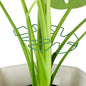 6PCS Iron Monstera Plant Support, Uniquely Designed Indoor Plant Accessories, Stable Plant Support Stakes for Indoor Plant, Turtle Shell Bamboo Clamp Set for Thriving Growth