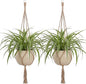 EBOOT 2 Pack 41 Inch Large Macrame Plant Hanger Rope to Hang Flower Pot Plant Holder for Indoor Outdoor Decorations, 4 Legs (Linen Color)