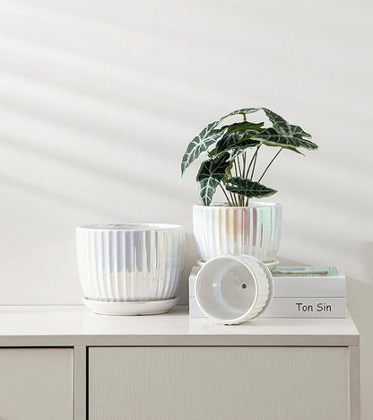 Ton Sin White Plant Pots,Pearl Gold Ceramic Flower Pots 4"+5"+6" Inch Indoor Succulent Pot with Drainage Hole - Decorative Orchid Pots and Herb Pots Set of 3