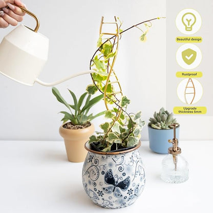 Indoor Plant Trellis for Potted Plants - Durable Metal Climbing Trellis with Unique DNA Spiral Design for Vining Plants, Easy Installation for Indoor & Outdoor Use