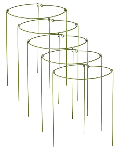 5 Pack Plant Support Stakes, Adjustable Plant Ring Cages with Green Rubber Wrapping, Ideal for Orchids, Indoor and Outdoor Potted Plants, 8" Wide x 11" High
