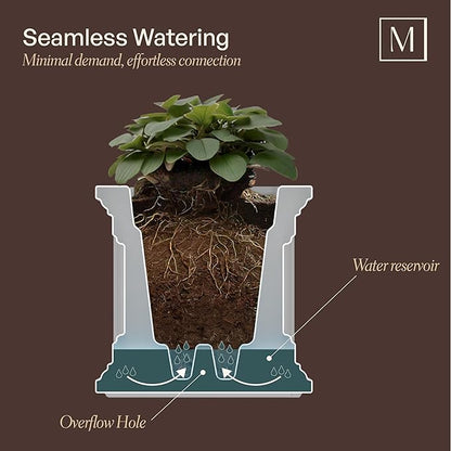 Mayne Fairview 3ft Durable Self Watering Window Box Planter with Wall Mount Brackets, UV & Weather Resistant, Double Wall Design, New England Architecture for Outdoor Décor, White