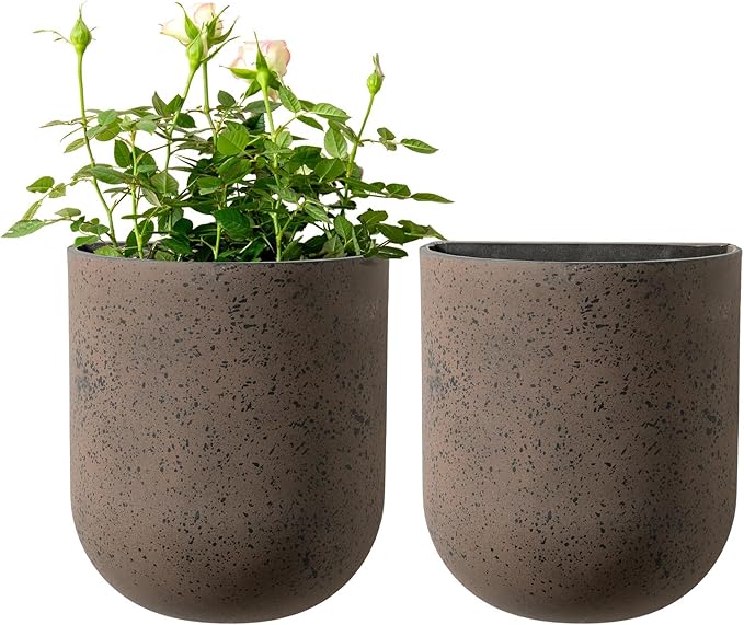 LA JOLIE MUSE Wall Hanging Planters for Indoor Plants, Hanging Flower Pots for Air Plants Succulent, Set of 2, 5.7L*4.1W*7H, Iron Rust