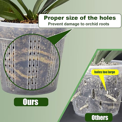 Orchid Pot with Saucers, 6 Packs of 6.1" Orchid Pots with Holes, Orchid Pots for Repotting, Plastic Orchid Planter for Indoor Outdoor Plants (6 Packs, 6.1" with Saucers)