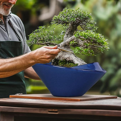 Bonsai Tree Pot 13 Inch - Ceramic Succulent Pots Large Bonsai Planter for Indoor Outdoor Plants Decorative Plant Pot with Drainage Hole Flower Pot for House Garden Room Home Decor Blue