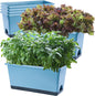 Window Box Planter 6 Pcs, 17 Inches Rectangle Flower Pots with Drainage Holes and Trays, Vegetable Planters for Windowsill Patio Garden Balcony Indoor Outdoor (Blue, 17 * 7.4 * 7.8 inch)