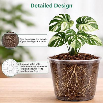 16 Pack 10/8/6/5 Inch Reinforced Large Clear Nursery Pots with Drainage Holes, Transparent Variety Pack Plastic Plant Pot for Vegetable Propagation, Root Cutting, Seed Starting