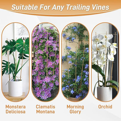 10 Pack 3ft Bamboo Trellis for Climbing Plants - Fan-Shaped Support Trellis for Potted Plant Decor in Door