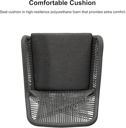 PURPLE LEAF Outdoor 29" Bar Stools Set of 2, Boho Patio Bar Height Chair with Cushion and Back for Outdoor and Indoor, Garden, Patio, Grey