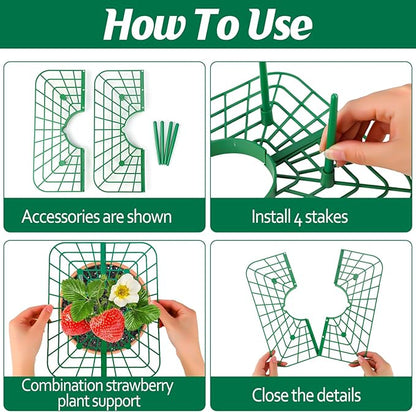 4 Sets Strawberry Plant Support with Mesh Plant Cover,Strawberry Growing Racks Sets with Iron Plant Nails and Storage Bag for Garden Strawberry Vegetables(Green Net - Square)
