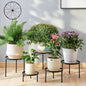 Plant Stand,5 Pack Heavy Duty Flower Pot Stands,Metal Decoration Racks,Round Plant Shelf for Planter Outdoor and indoor (Black)