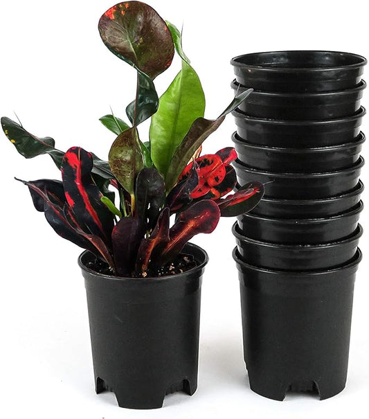 Wholesale Bulk Nursery Pot 4 Inch Black Plastic Planters 30-Pack 0.25 Gallon Pots for Outdoor Indoor Plants Gardening Flower with Drainage Holes