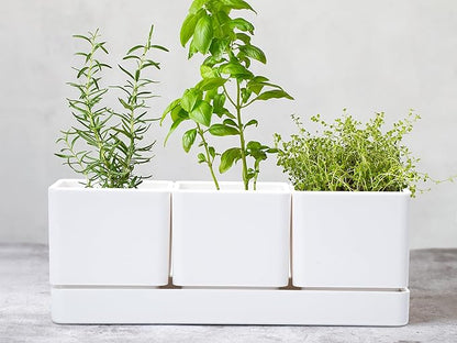 D'vine Dev Herb Garden Planter Set, Plastic Plant Pots with Drainage and Saucer, Indoor Succulent Cactus Vegetable Pot for Windowsill, Garden Balcony, White, Set of 2, 76-V-A-2