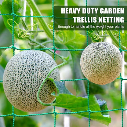 Trellis Netting, Garden Trellis Netting for Climbing Plants, 16.5x6.6Ft Plant Netting for Cucumber, Tomato, 27 Strands Nylon & 4x4 Inch Mesh, Grow Net for Vines, Fruits, Vegetables, Grapes, Beans,Peas