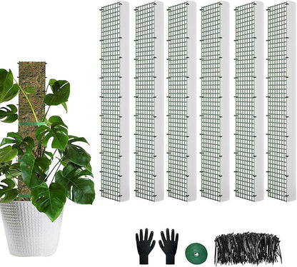 60"/40"/24" Metal Moss Pole, D Shape Sphagnum Moss Pole, Moss Poles for Climbing Plants, Monstera, Indoor Climbing Plants (6Pcs 24")