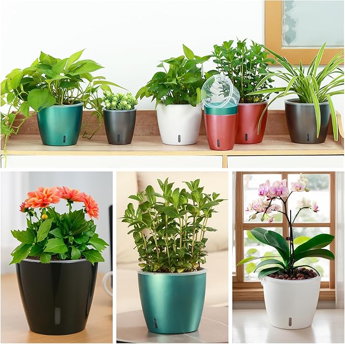 Self Watering Pots for Indoor Plants, 4-Pack 6.7'' Self Watering Planter with Drainage Holes, Small African Violet Pots with Water Indicator, Clear Wick Orchid Pot, Blue Gold