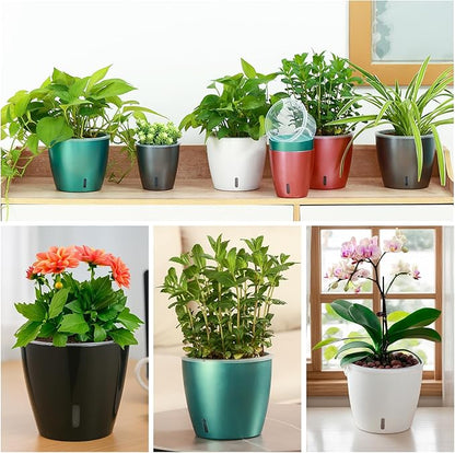 Self Watering Pots for Indoor Plants, 12-Pack 5'' Self Watering Planter with Drainage Holes, Small African Violet Pots with Water Indicator, Clear Wick Pot, White/Black/Blue/Rose Gold