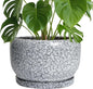SQOWL Ceramic Planters - 10 Inch Ceramic Flower Pot with Drainage Hole and Saucer, Decorative Plant Pot Indoor, Round Large Planter Outdoor, Bathroom Decor, Gifts for Plant Lovers, Black and White