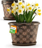 10 Inch Planter Pots for Plants, 4 Pack Plastic Large Flower Pots Indoor Outdoor, Resin Plant Pot with Drainage & Saucer, Retro Decorative Garden Pot with Removable Trays for House