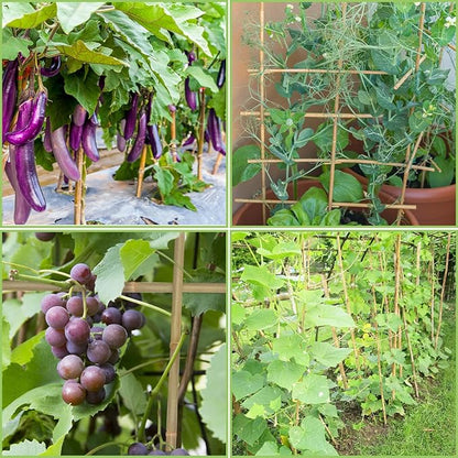 Plant Stakes,4.8FT Longer Sturdy Natural Bamboo Garden Stakes,GAGINANG 20Pcs Bamboo Sticks Trellis Support for Tomato, Vegetables Beans Trees Climbing Plants