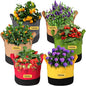 Grow Bags 10 Gallon,6 Pack Fabric Plant Pots with Handles Planter Bag for Outdoor Garden Planting Vegetables Flowers Fruit